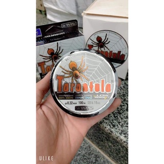 Cước tarantula con nhện siêu dai 100m
