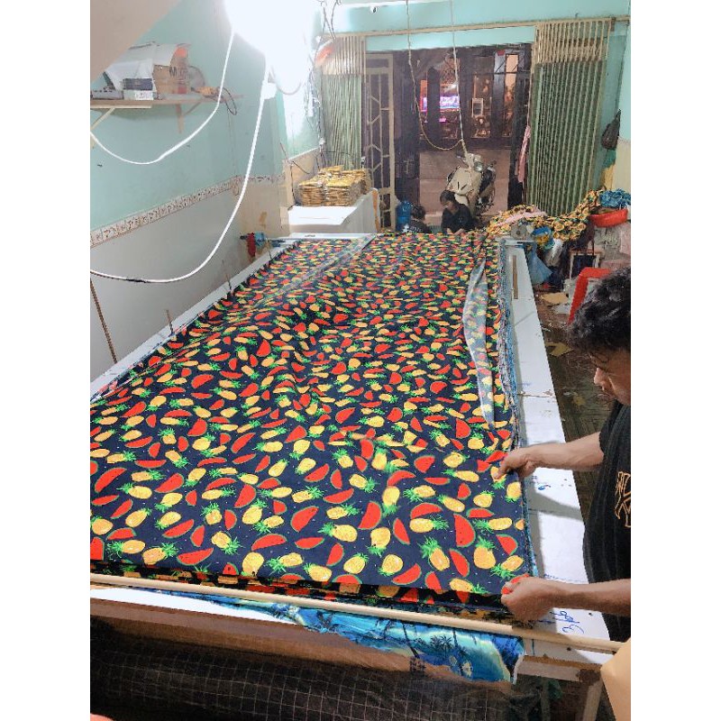 40. QATC5. Đồng phục đi biển, gia đình trái cây đủ size. Bộ đồ hoa quả đi biển (NamyShop39)