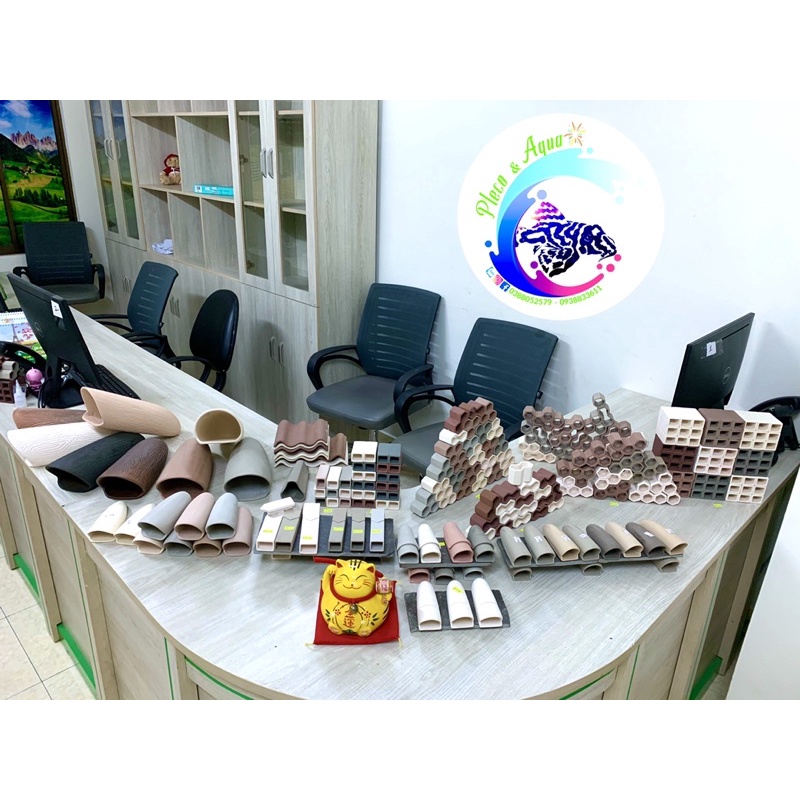 Hang Pleco “HANG 3 LỖ - 60k”