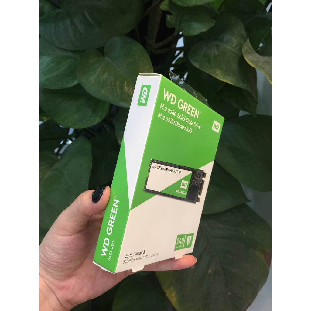 Ổ CỨNG SSD 240GB M.2 2280 SATA III – WD Green | BigBuy360 - bigbuy360.vn