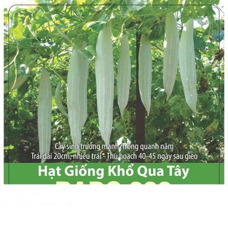 Hạt giống khổ qua tây sai trái, giàu dinh dưỡng 2gr