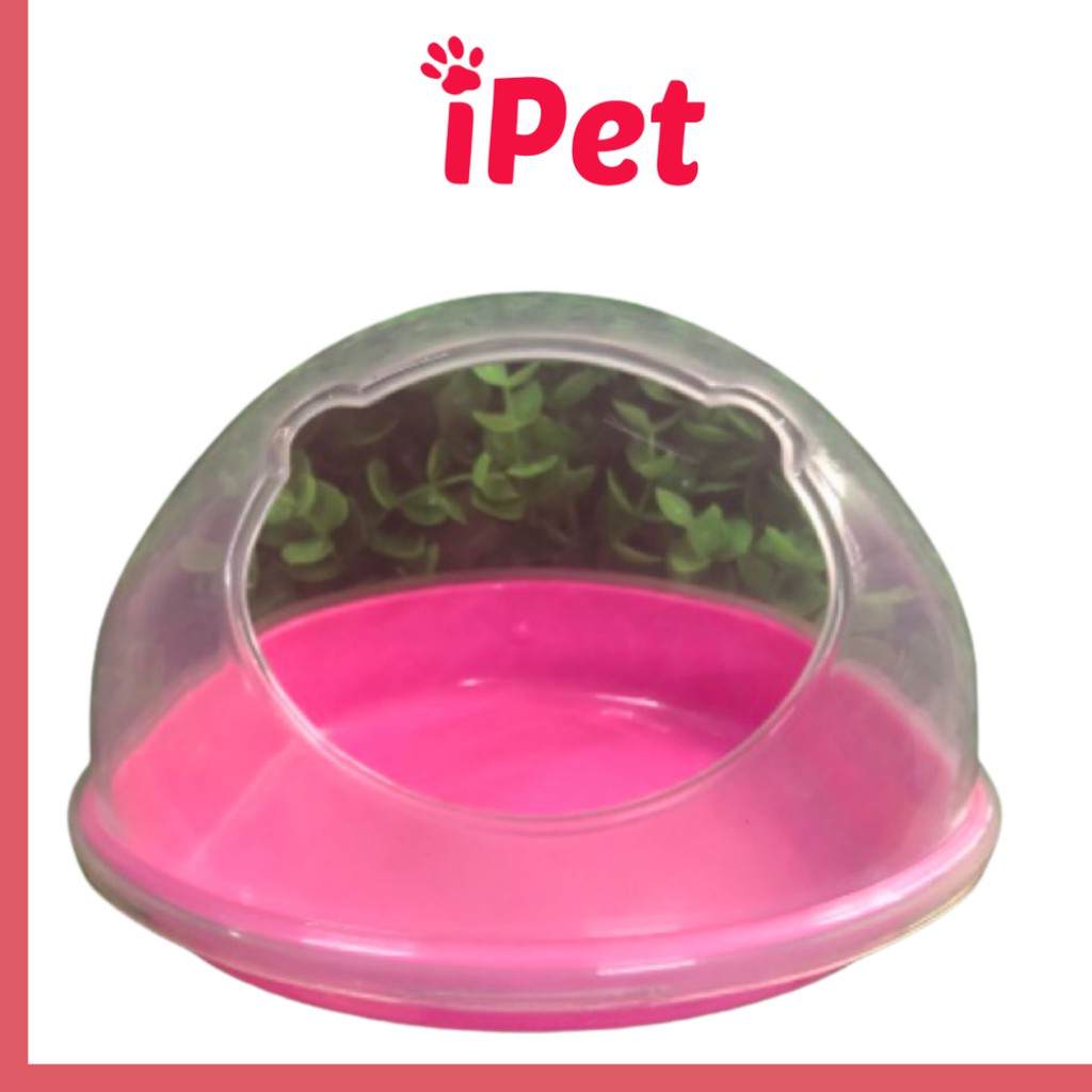 Nhà Tắm Hamster - Nhà Tắm Gấu Lớn - iPet Shop