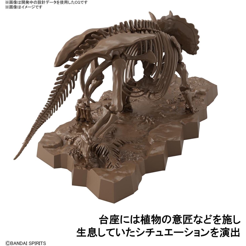 Mô hình lắp ráp 1/32 Imaginary Skeleton Triceratops Bandai 4573102618016