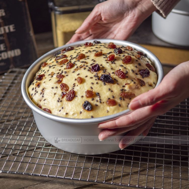 Khuôn 8 Inch Tròn Làm Bánh Đục Lỗ Breadleaf