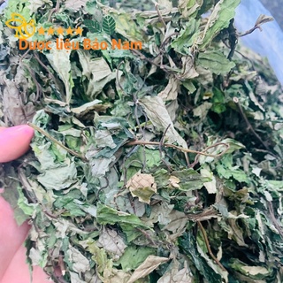 Lá đắng, lá dạ dày, lá cơm kìa, lá rau rừng khô xanh mướt đẹp 500g - 1000g