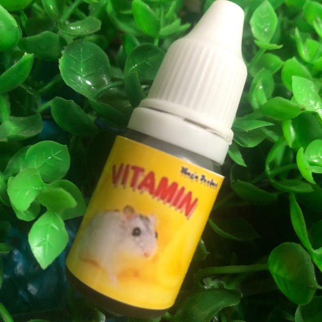 Vitamin cho hamster