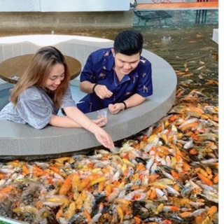 Thức ăn cho cá Cám cá Koi No1 1kg