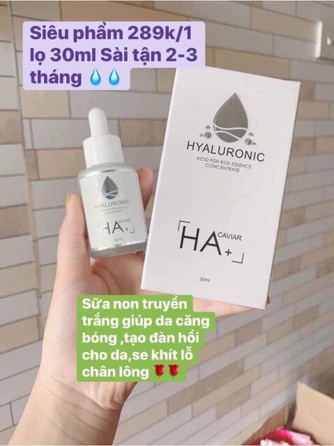 Ủ SỮA NON TRUYỀN TRẮNG HA+ QLADY ( cam kết chuẩn )