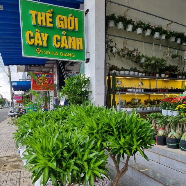 Thế_Giới_Cây_Cảnh_49