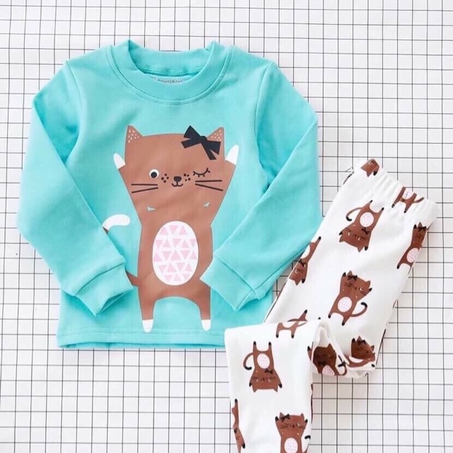 350 bộ carter