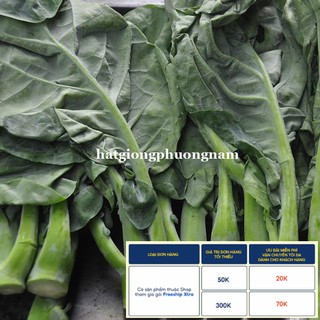 5GR - HẠT GIỐNG RAU CẢI RỔ