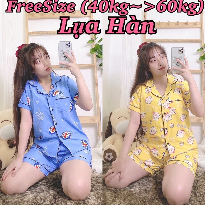 ( Freesize Lụa Hàn ) Đồ Bộ Pijama Lụa Đùi .