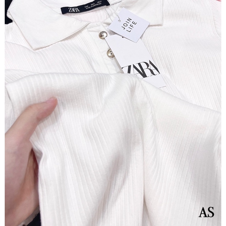 ÁO POLO TĂM CÚC BẠC THUN CO GIÃN | BigBuy360 - bigbuy360.vn