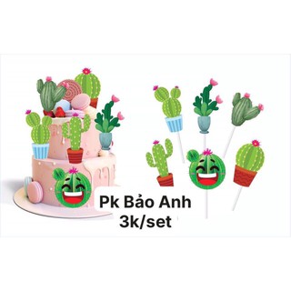 Set giấy cây xương rồng trang trí bánh kem