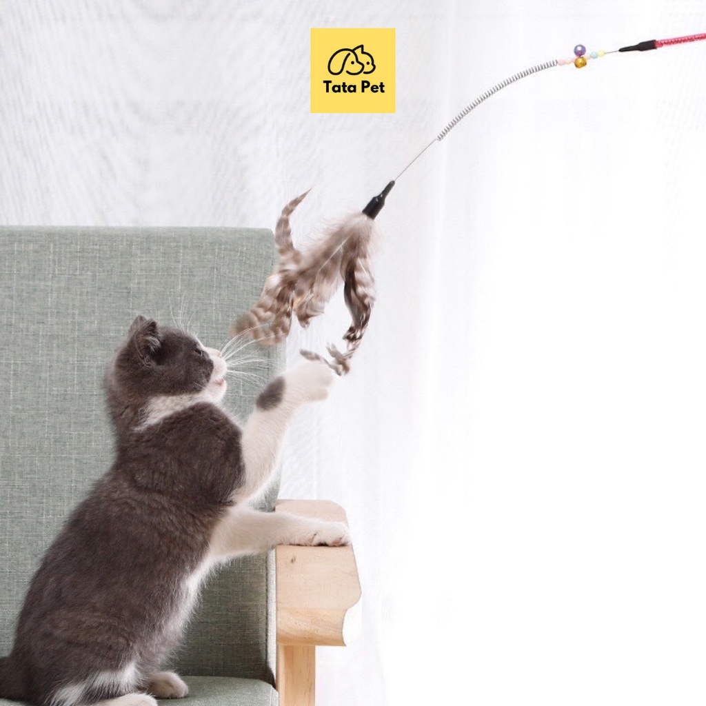 ĐỒ CHƠI CHO MÈO- Cần Câu Mèo Dây Thép Đồ chơi cho mèo Pet TATAPET
