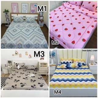 Sét 3 món ga và 2 gối Poly Cotton