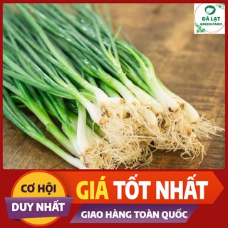 HẠT GIỐNG HÀNH LÁ CHUẨN FARM_1GR (CHẤT LƯỢNG CHUẨN F1)