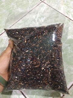 1kg Gạo nếp cẩm Điện Biên