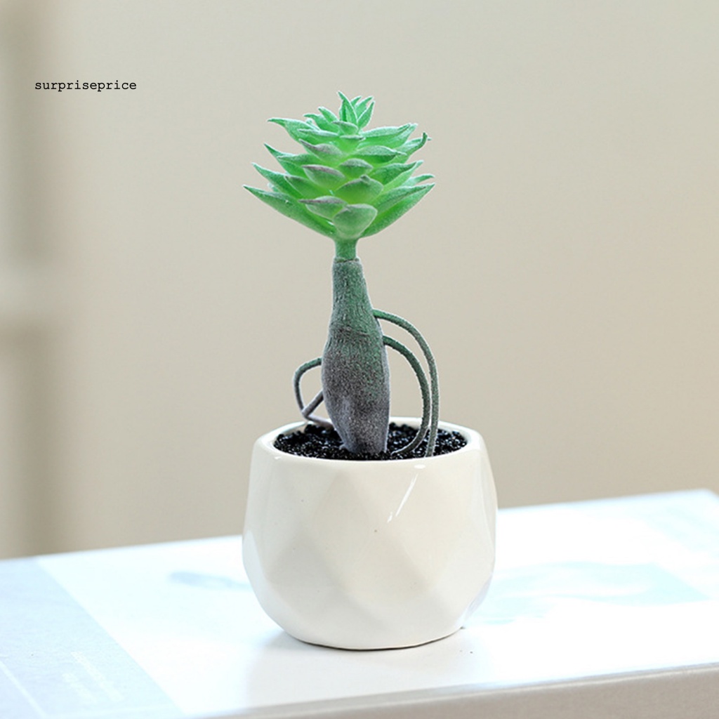 Chậu Cây Giả Mini Dùng Trang Trí Nhà Cửa