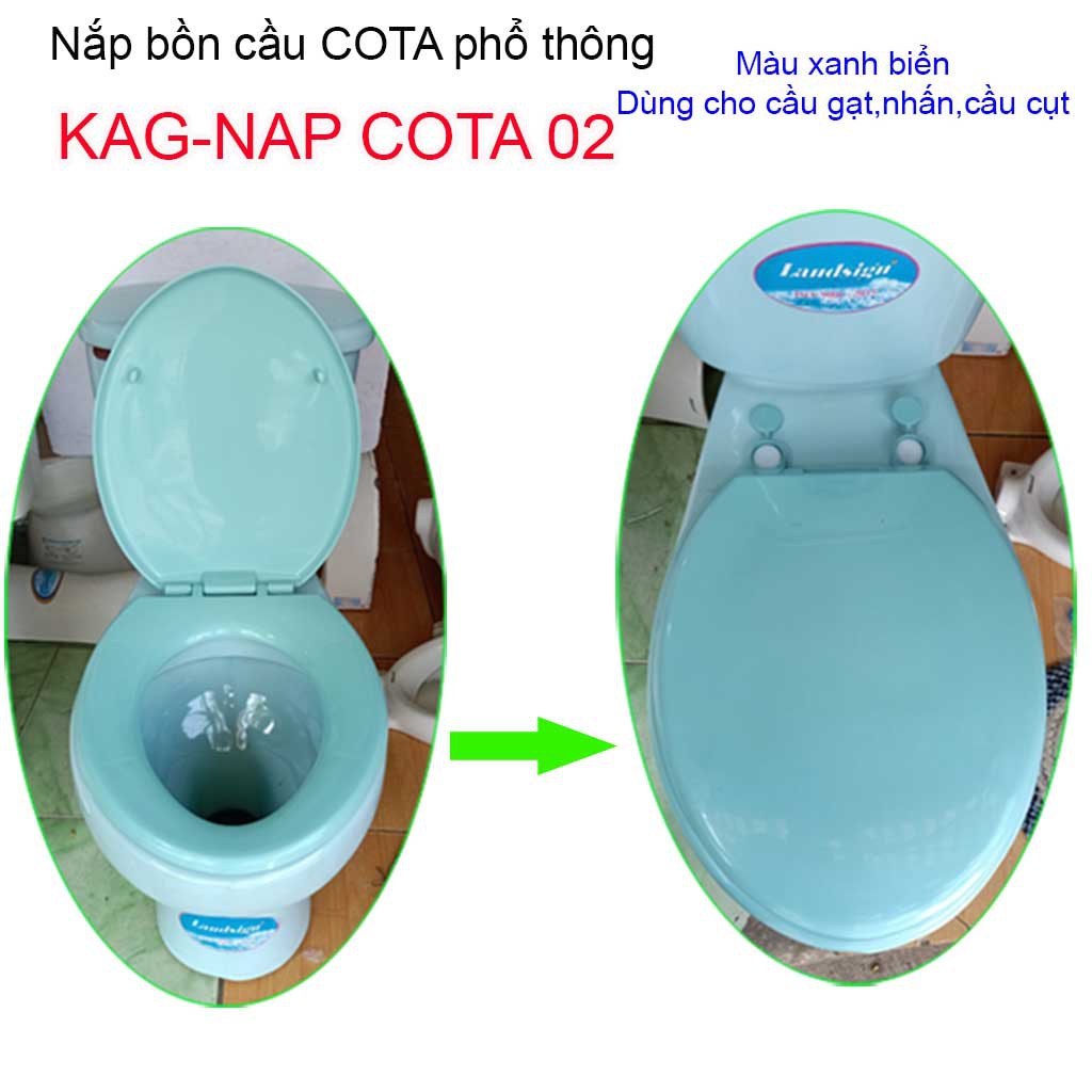 Nắp đậy bàn cầu Cota, Nắp bồn cầu phổ thông màu xanh biển KAG-NAP Cota02