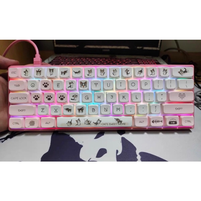 Set Keycap Thick Pbt XDA Mèo Chi Chi 141 Nút Cho Bàn Phím Cơ