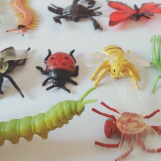 Mô hình côn trùng safari