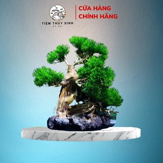 Lũa bonsai thủy sinh siêu bền, layout bonsai trang trí bể cá cảnh, cây bonsai setup bể thuỷ sinh mini