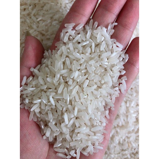 Gạo Séng Cù Lào Cai gói 5 kg, cơm ngon dẻo, đặc sản Tây Bắc.
