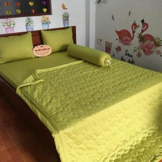 Drap cotton màu Thắng Lợi