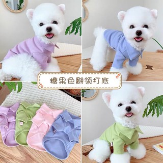 Áo cổ trơn cổ bẻ cho thú cưng