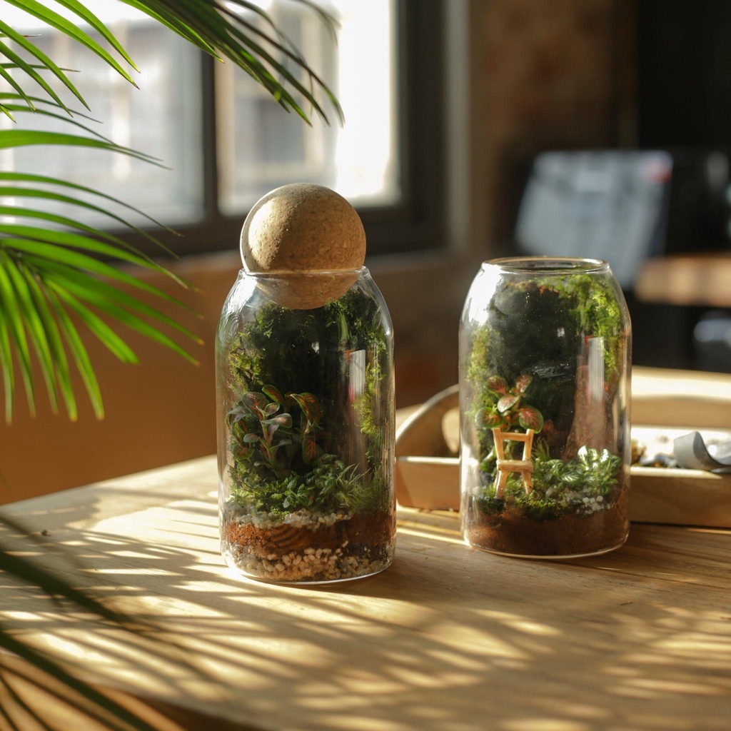 Set tiểu cảnh terrarium TROPICAL FOREST