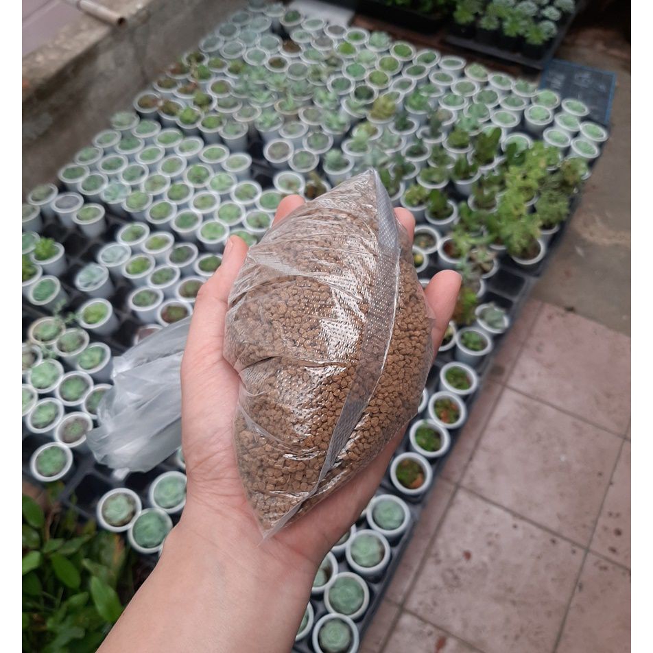 Đất Akadama trồng sen đá, xương rồng, gói 500g