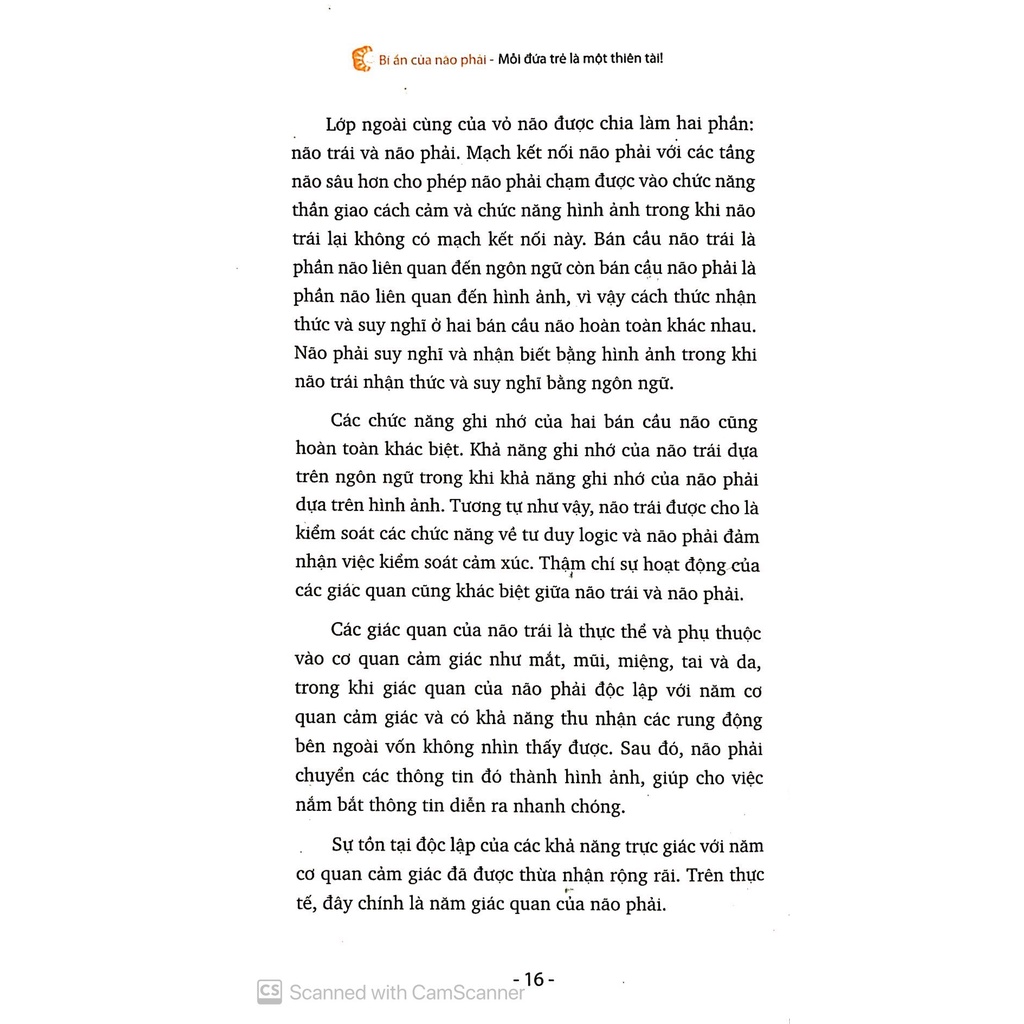 Sách - Bí Ẩn Của Não Phải