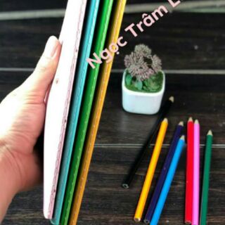 Combo 10 sổ panda