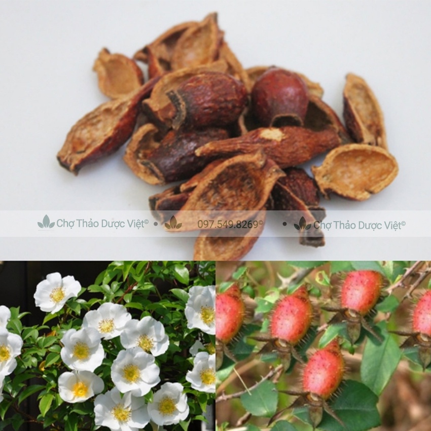 Kim anh tử 500g (Khô,thơm,sạch) - Chợ Thảo Dược Việt