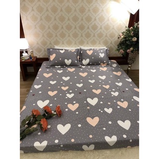 Bộ ga gối bo chun cotton