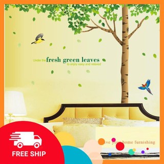 ⚡️𝗙𝗥𝗘𝗘𝗦𝗛𝗜𝗣⚡️ Decal dán tường Cây sồi cổ đại