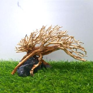 Lũa dáng bay cấy rêu ( D:22cm-R:12cm-C:10cm)
