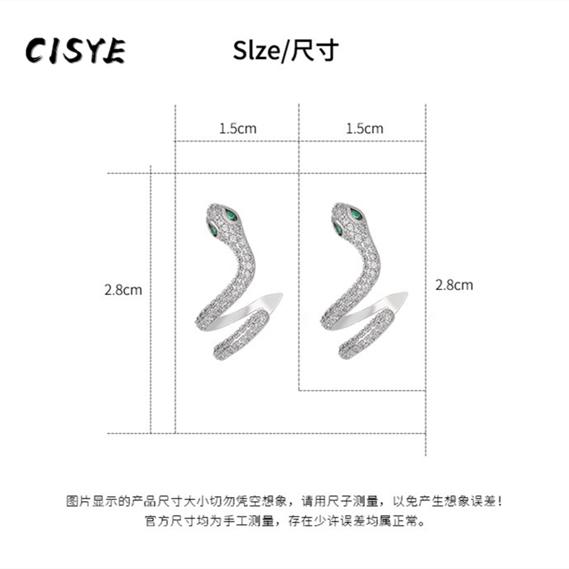 Khuyên Tai Nữ Trang Tạo Hình Độc Đáo