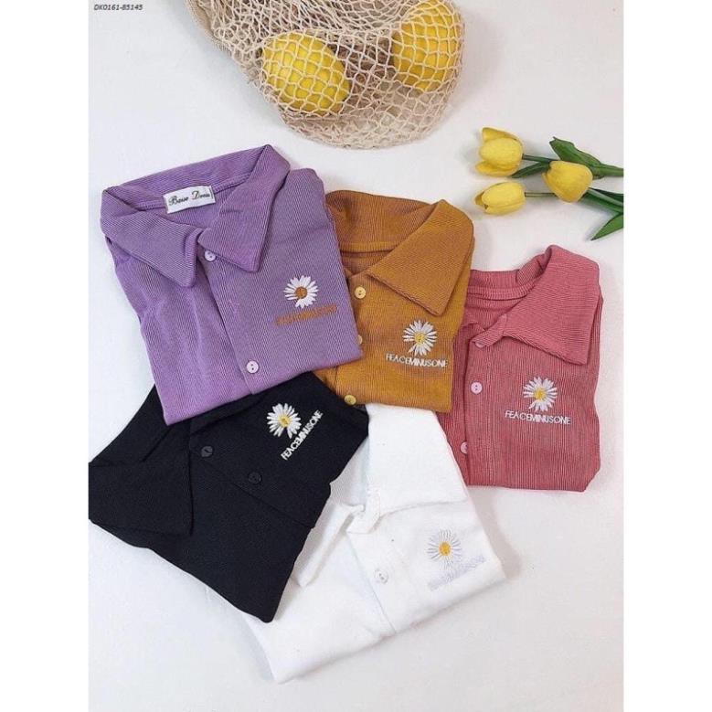 Thun Tăm Crop cúc cổ bẻ, Thêu nổi hoa trước ngực( Áo crop tầm rúm) , Ulzzang  [ẢNH THẬT]