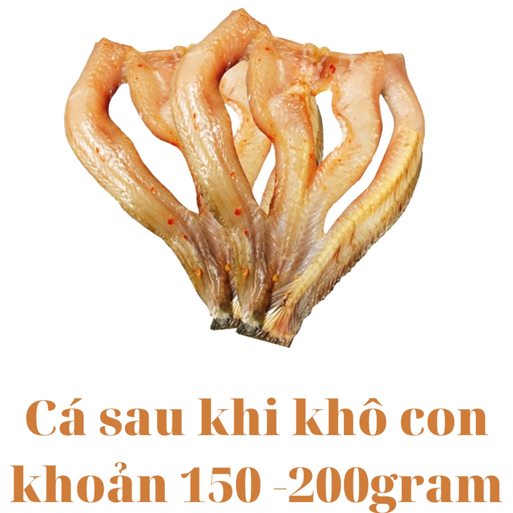 250Gr - Khô Cá Lóc Đồng Phơi Khô, Cá Khô 3 Nắng Thịt Dày Nêm Vừa Ăn Thơm Ngon Bổ Dưỡng Giá Rẻ Đặc Sản Miền Tây An Giang