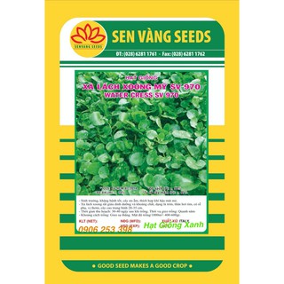 0.1Gr Hạt giống Rau Xà lách Xoong Mỹ (Cải Xoong) chịu nhiệt