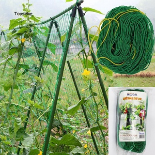 Lưới giàn dây leo Rosa có viền biên, đóng khoen KNS2
