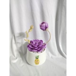 Chậu sen đá đất sét đường kính 10cm