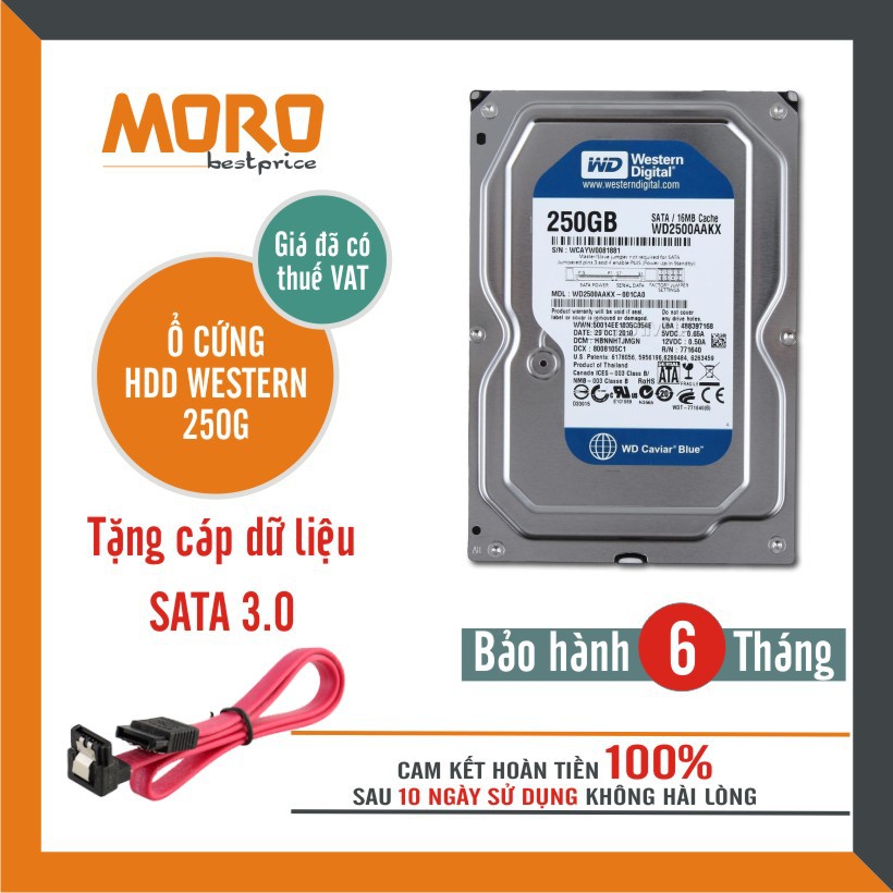 Ổ cứng pc hdd wd 250gb--320gb--500gb - tháo máy đồng bộ nhập khẩu mới 99% - ảnh sản phẩm 2