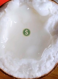 Dừa Sáp Loại Lỏng Trái To - Thương Hiệu Dừa Sáp Big S số 1 tại Trà Vinh