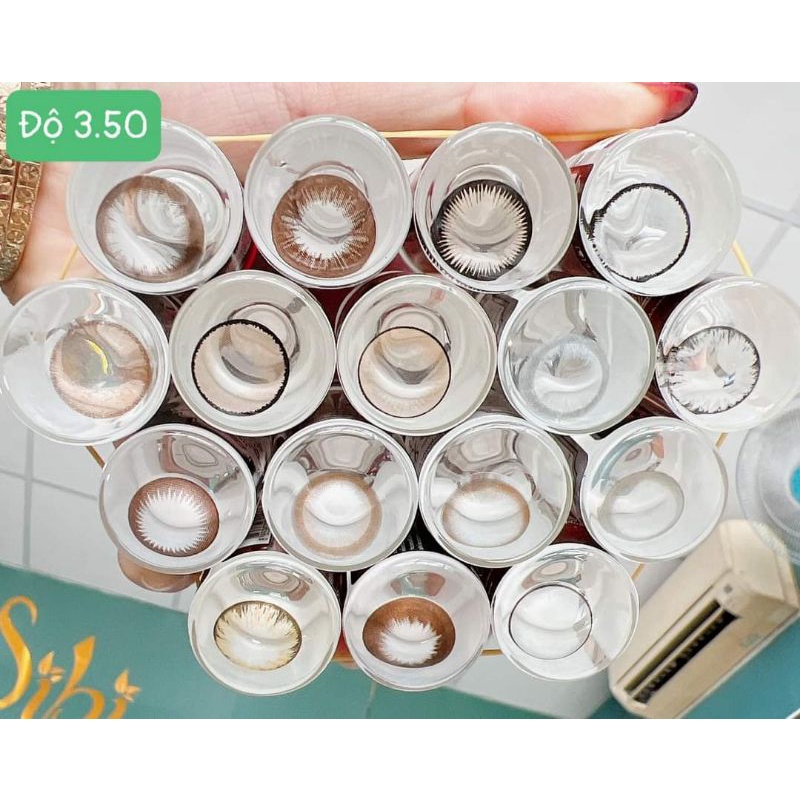 LENS ĐỘ (-3.00 đến -3.75) Thái Lan