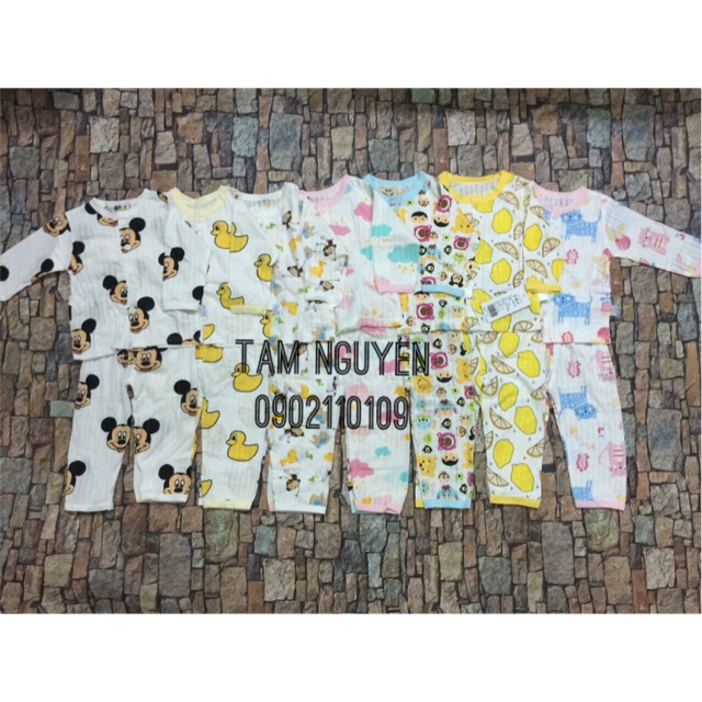 Combo cotton giấy dài tay