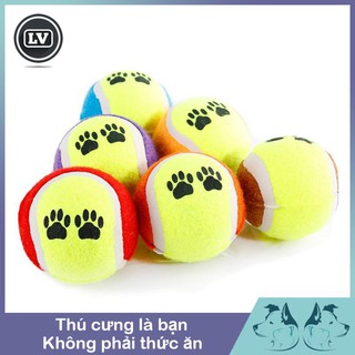 Bóng tenis đồ chơi cho chó mèo Phụ kiện Long Vũ