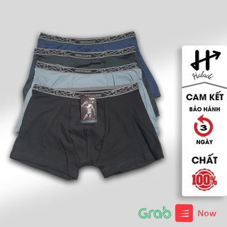 Quần Lót Nam sịp Xì Đùi cotton giá rẻ HALADI DL125